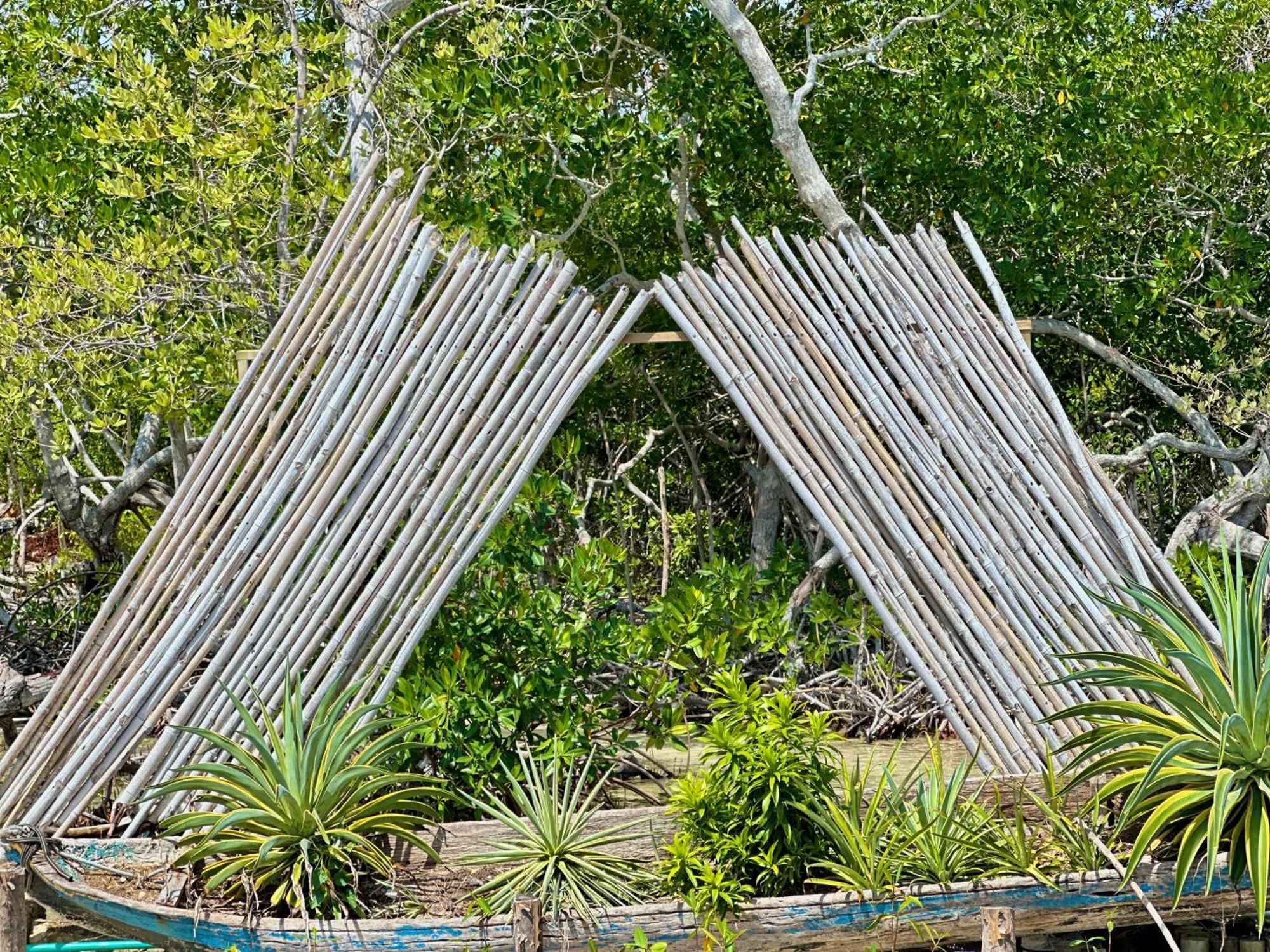 Medusa Hostel Isla Tintipan Tintipan Island Esterno foto